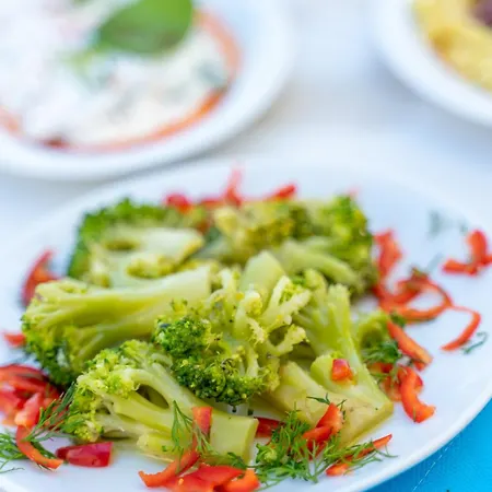 Otel ıskelem Akyaka (Mugla)